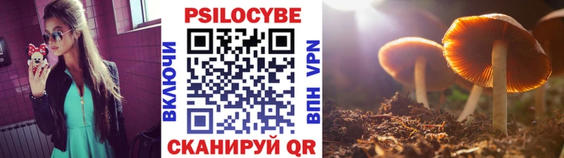 Галлюциногенные грибы GOLDEN TEACHER  Чаплыгин 